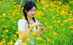 豪车标志图片大全